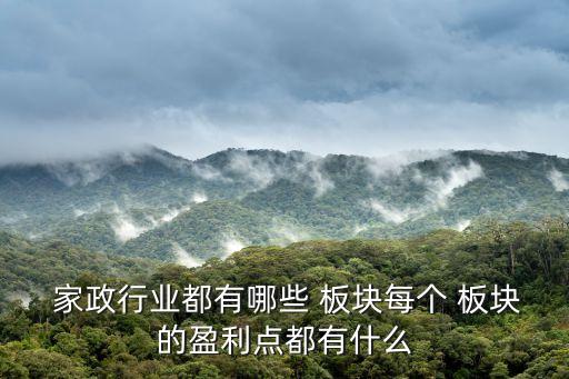  家政行业都有哪些 板块每个 板块的盈利点都有什么