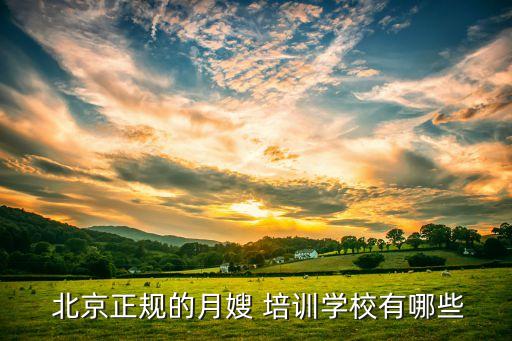  北京正规的月嫂 培训学校有哪些