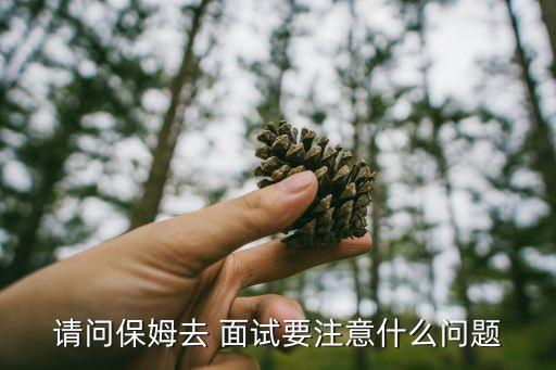 请问保姆去 面试要注意什么问题