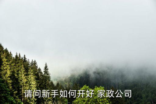请问新手如何开好 家政公司