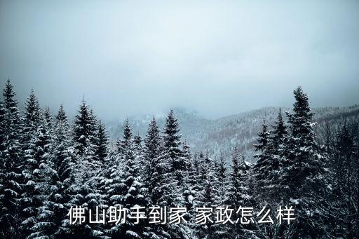  佛山助手到家 家政怎么样
