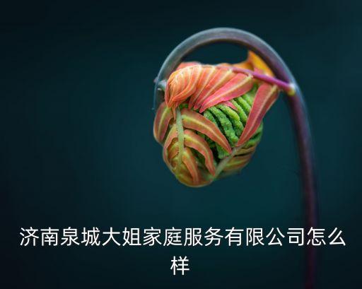  济南泉城大姐家庭服务有限公司怎么样