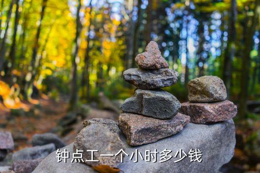 钟点工一个小时多少钱