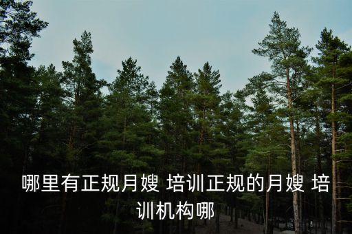哪里有正规月嫂 培训正规的月嫂 培训机构哪