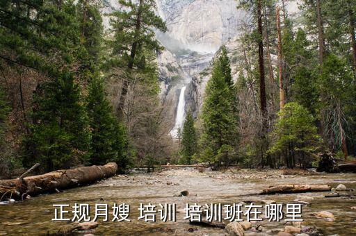 汉中全国知名家政培训,汉中家政培训哪里最好