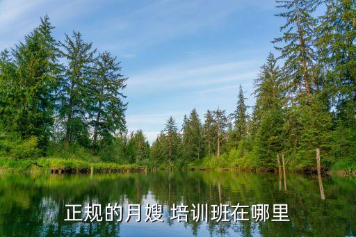 正规的月嫂 培训班在哪里