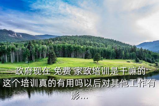  政府现在 免费 家政培训是干嘛的这个培训真的有用吗以后对其他工作有影...