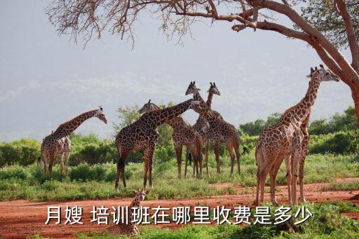 抚顺哪里有家政培训班地址,深圳龙华哪里有家政培训班