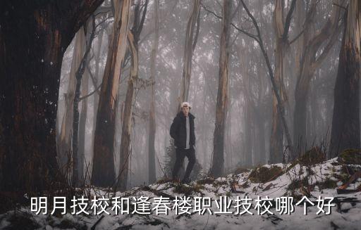  明月技校和逢春楼职业技校哪个好