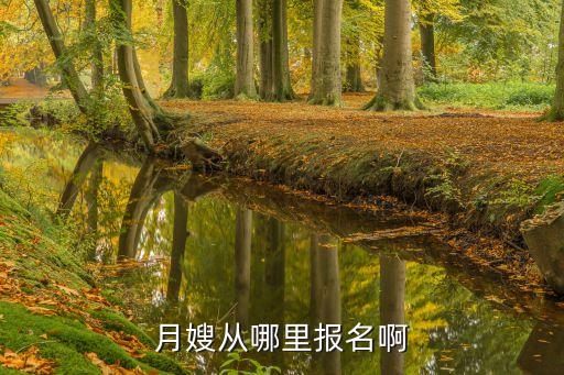 月嫂从哪里报名啊