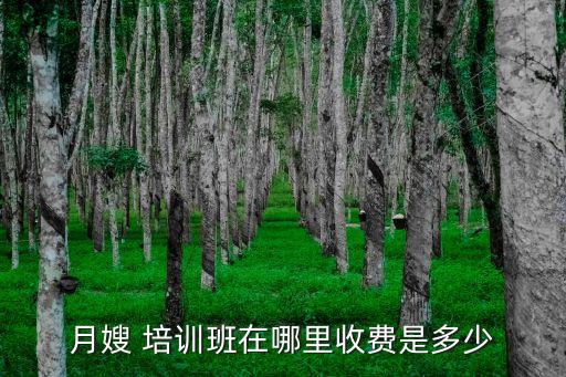 月嫂 培训班在哪里收费是多少