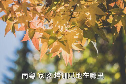 南粤 家政 培训基地在哪里