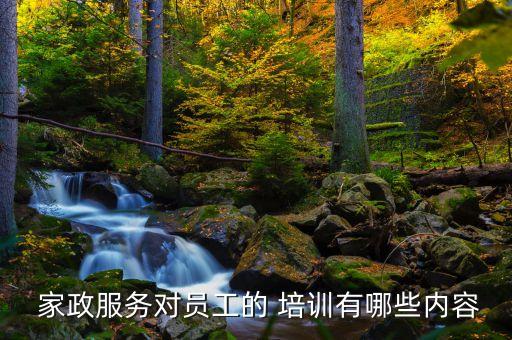  家政服务对员工的 培训有哪些内容