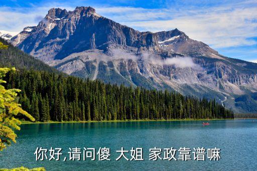 你好,请问傻 大姐 家政靠谱嘛