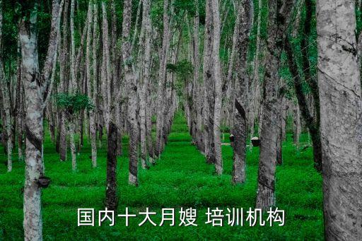 国内十大月嫂 培训机构