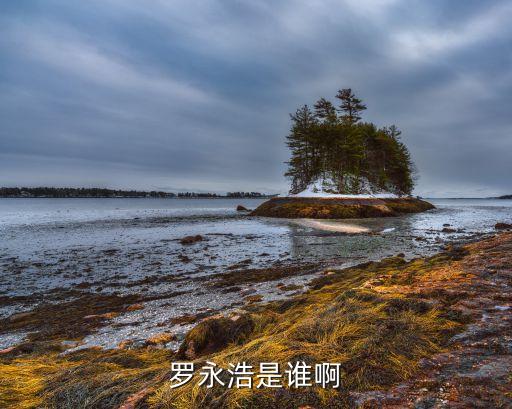 罗永浩是谁啊