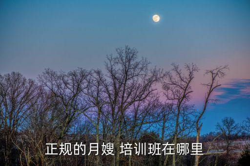 正规的月嫂 培训班在哪里