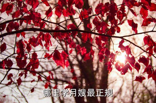 哪里学月嫂最正规