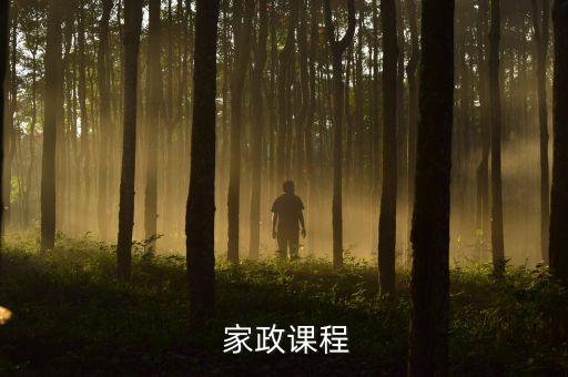  家政课程