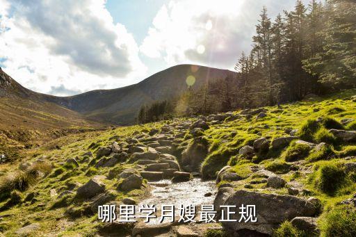 哪里学月嫂最正规