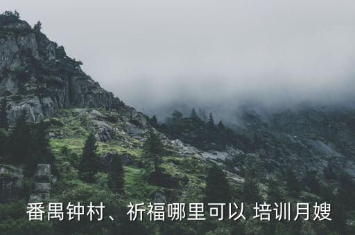  番禺钟村、祈福哪里可以 培训月嫂