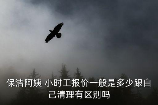 保洁阿姨 小时工报价一般是多少跟自己清理有区别吗