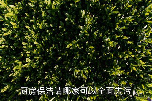 厨房保洁请哪家可以全面去污