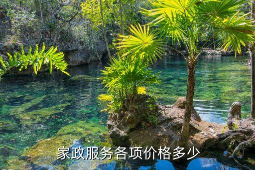  家政服务各项价格多少