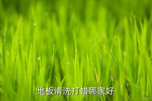 地板清洗打蜡哪家好