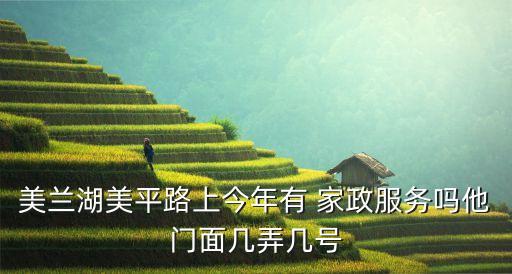 美兰湖美平路上今年有 家政服务吗他门面几弄几号