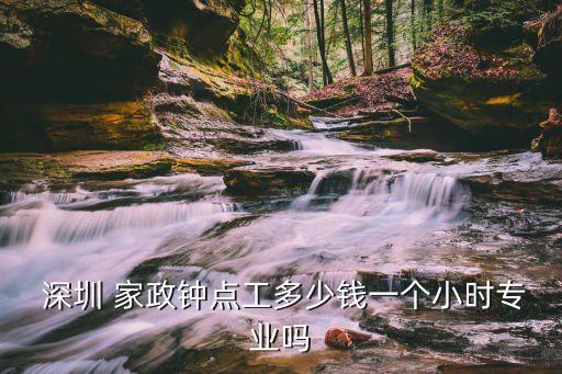  深圳 家政钟点工多少钱一个小时专业吗
