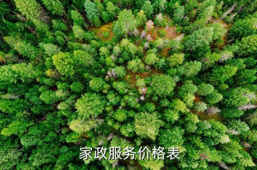  家政服务价格表