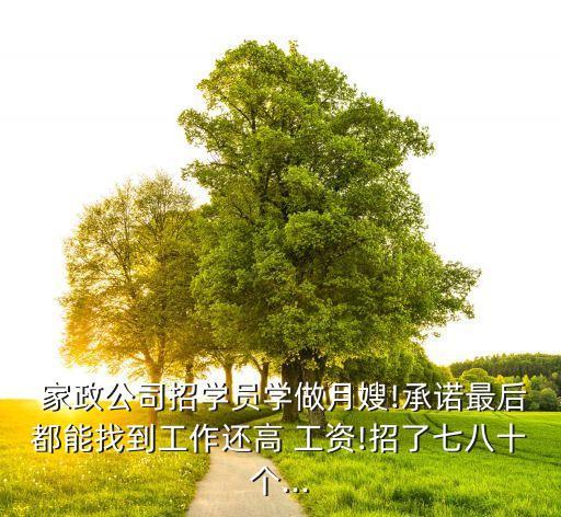  家政公司招学员学做月嫂!承诺最后都能找到工作还高 工资!招了七八十个...