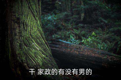 干 家政的有没有男的