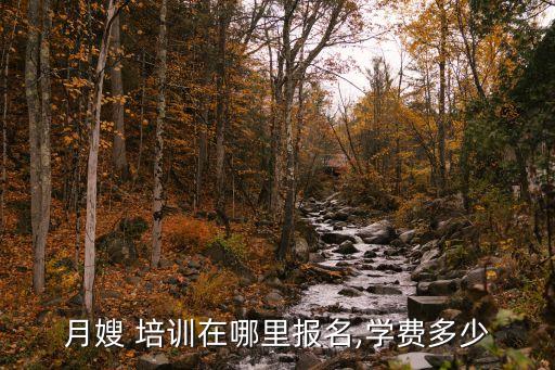 家政月嫂培训襄阳,找月嫂比较靠谱?