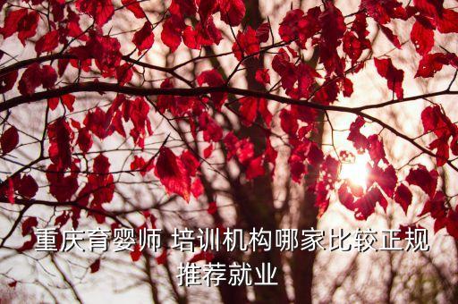  重庆育婴师 培训机构哪家比较正规推荐就业