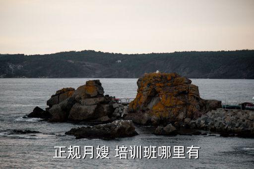 佛山南海家政培训,南海家政员培训结束个人总结