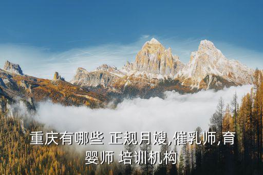  重庆有哪些 正规月嫂,催乳师,育婴师 培训机构