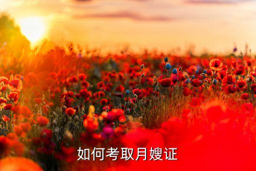 如何考取月嫂证
