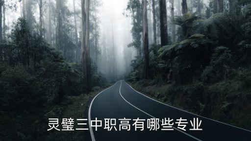 灵璧三中职高有哪些专业
