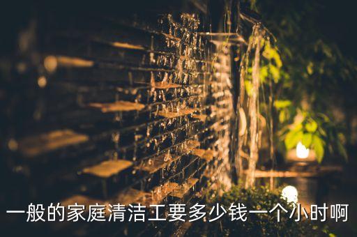 一般的家庭清洁工要多少钱一个小时啊