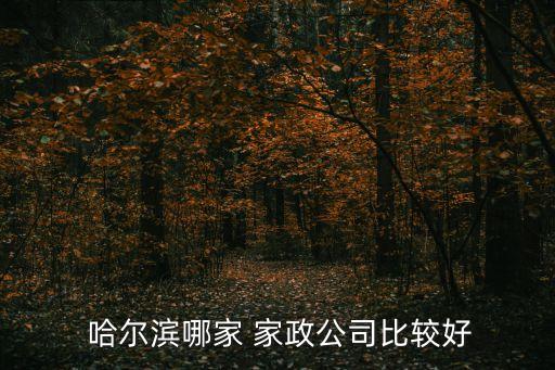  哈尔滨哪家 家政公司比较好