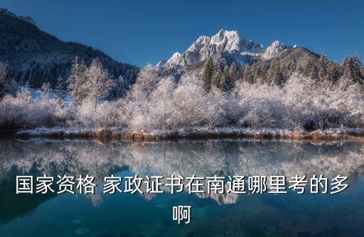 国家资格 家政证书在南通哪里考的多啊