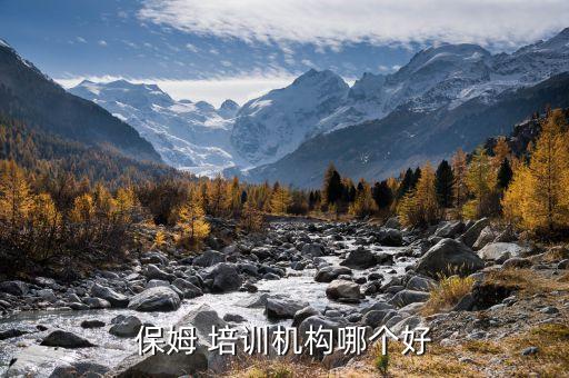 保姆 培训机构哪个好