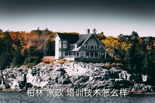 柏林 家政 培训技术怎么样