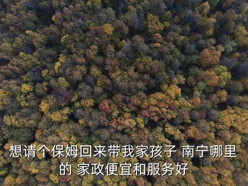 南宁馥荔家政培训,南宁哪里有保洁家政培训