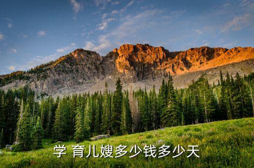 唐山育儿家政培训学习,家政育儿嫂培训