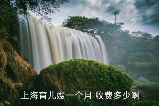 上海家政收费吗,上海的家政怎么收费