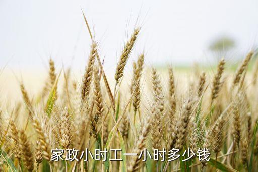 天桥区家政钟点工收费标准,西安家政钟点工收费标准