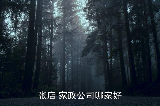 张店 家政公司哪家好